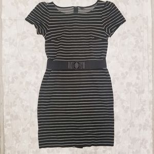Ann Taylor Striped Classic Dress